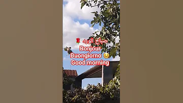 مبروك عليك يا معجبنى يا غالي شريفه فاضل 