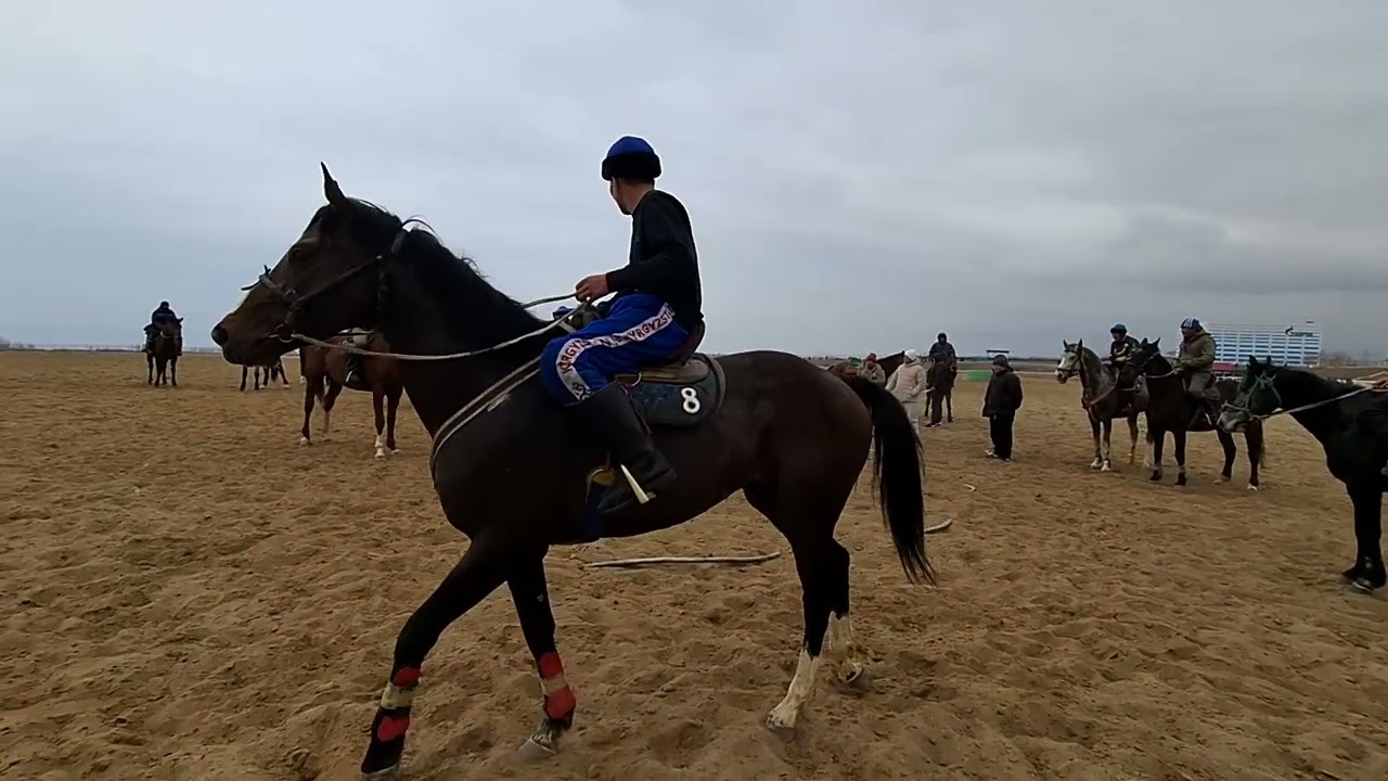 5 марта 2026 г.