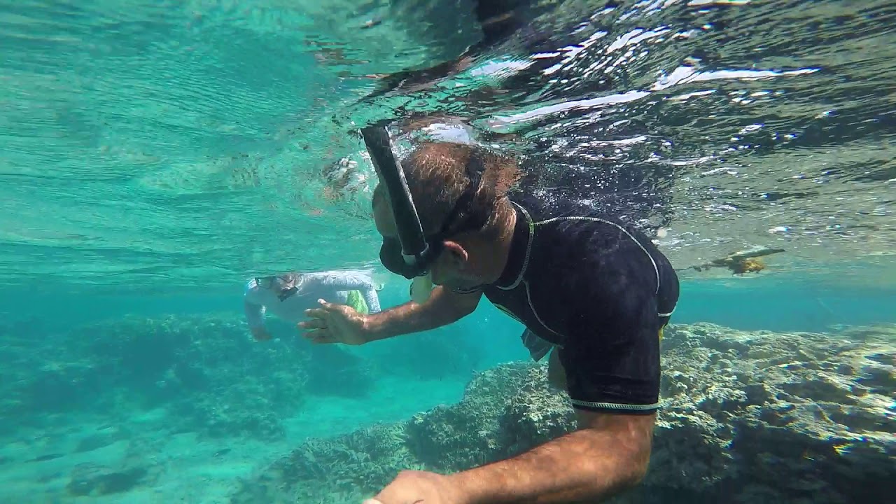 Snorkeling in Aqaba. YouTube
