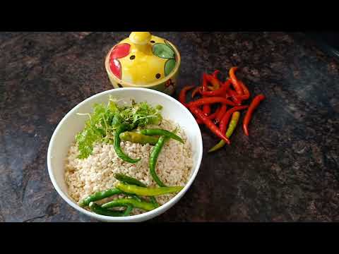 Urad Dal Mangoudi | उरद दाल  मगौडी ।shubhi ki tips #uraddalmangoudi
