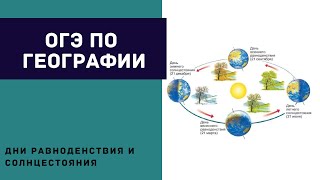 Подготовка к ОГЭ.  Дни равноденствия и солнцестояния