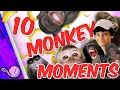 Top 10 monkey moments