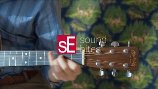 SoundBites: sE2200 + Acoustic Guitar