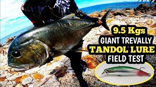 Huge Giant Trevally❗insane Fight From The Shore