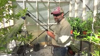 homemade greenhouse with ROLL UP sides by gregpryorhomestead 795 views 1 year ago 6 minutes, 39 seconds