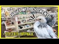 Vintage Thrift With Me + Styled Thrift Haul by CHICKENS? (Farmhouse Home Decor)