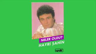 Neler Oldu - Hayri Şahin (Neler Oldu Albümü)