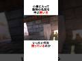呼ぶとまさかの動物登場！？