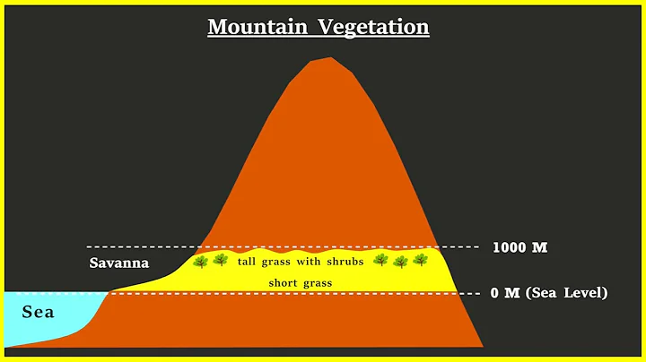 Mountain Vegetation - DayDayNews