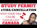 VISA CANCELLATION AND STUDY PERMIT CANCELLATION|This is why!!