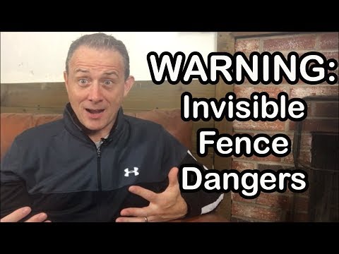 Video: The Invisible Guard: How Many Americans Are Decisioning To Go With Underground Dog Fencing