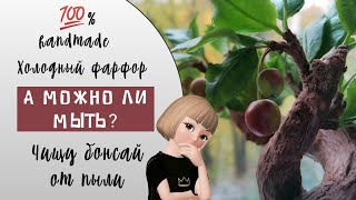 МЫТЬ НЕЛЬЗЯ! ИЛИ МОЖНО? Холодный фарфор. Can I wash Cold porcelain?