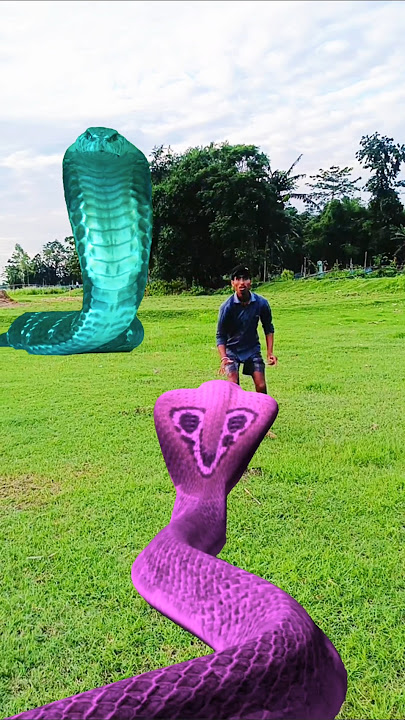 om hara hara shambhu ji ki joy ho Hare Krishna Hare Krishna Krishna Hare Hare Ram Hare Ram