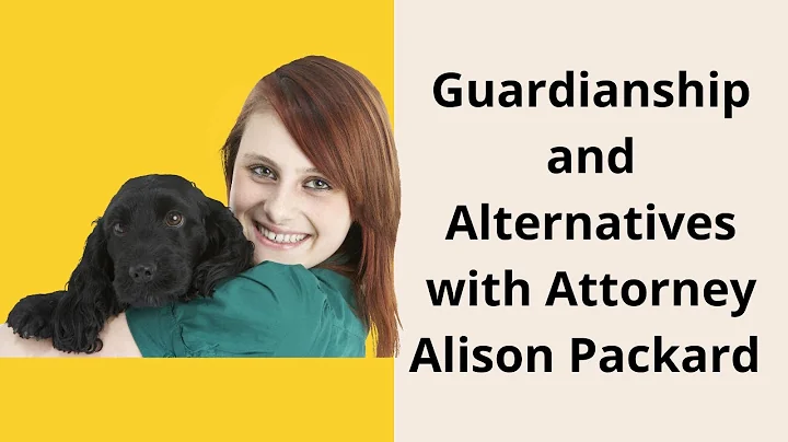 Guardianship and Alternatives  with Attorney Aliso...