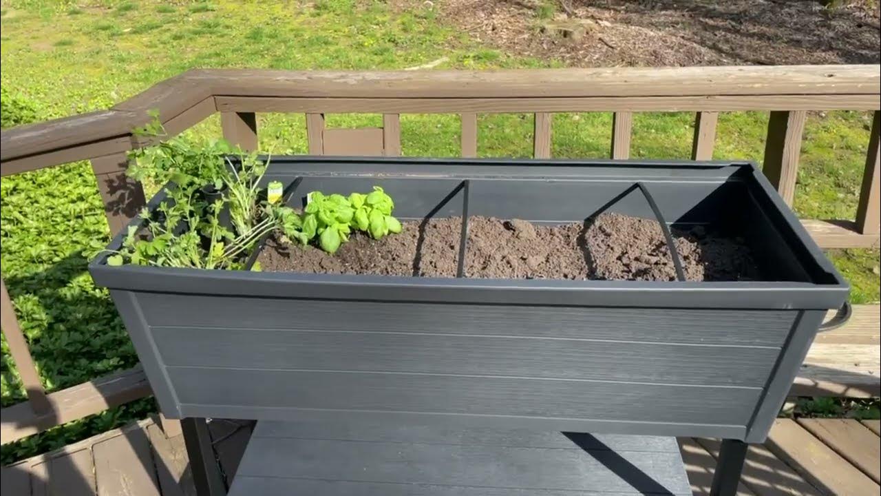 Keter Urban Bloomer 12 7 Gallon Raised Garden Bed with Self Watering