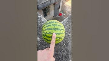 Experiment: Will watermelons and cantaloupes explode if they roll down from a tall building?#shorts