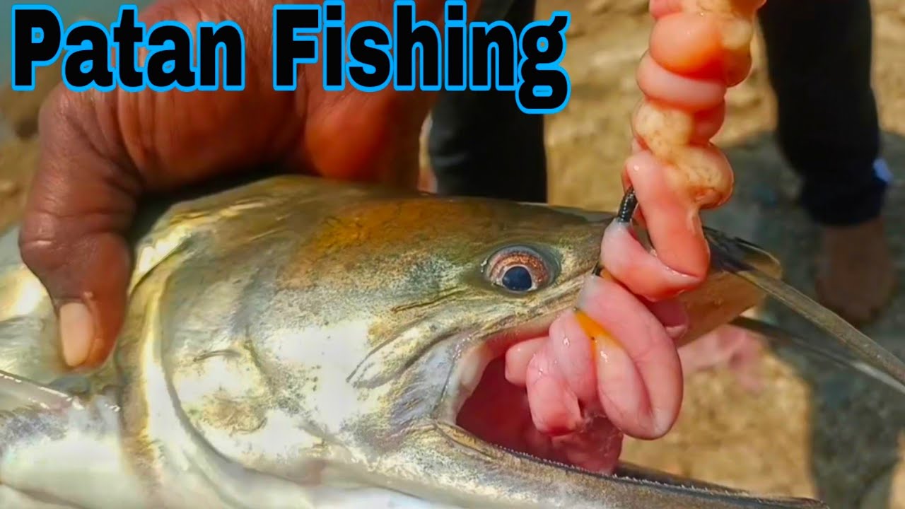 Big Fish Catching | Fish Hunter Anwar | Amazing Patan Fishing | Fishing ...