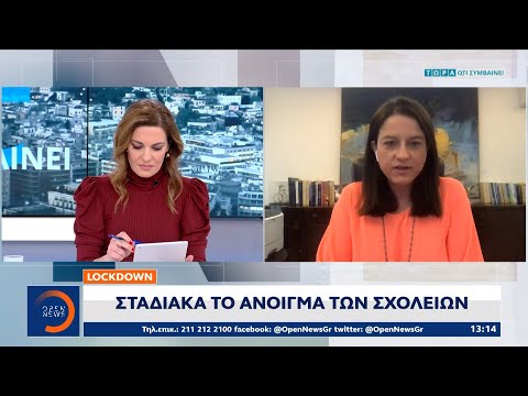 Lockdown: Σταδιακά το άνοιγμα των σχολείων | Μεσημεριανό Δελτίο Ειδήσεων 29/11/2020 | OPEN TV