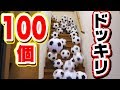 急にサッカーボール100個降ってくるドッキリ！【サッカー】