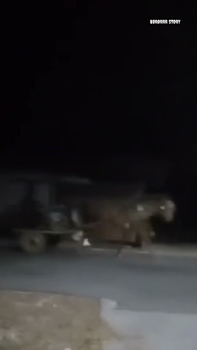 Andong tanpa kusir serem bgt #penampakanhantu #pocong #andongsetan #shortshorror #hantu