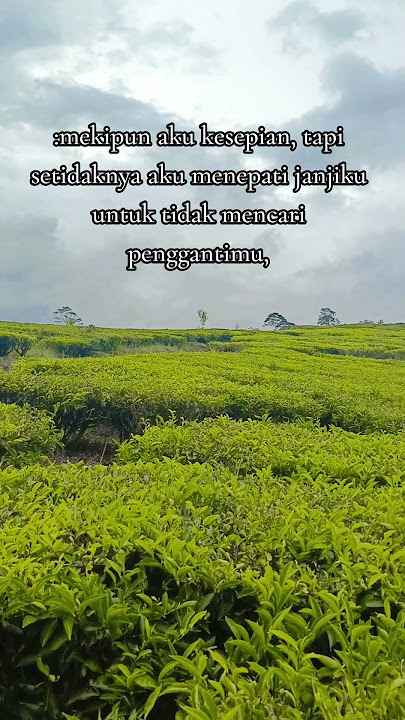 #storywa #storyaestetic #storytime #sad #sadstorywa #beranda paham kan