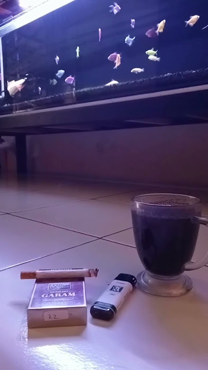 Mentahan Story' Wa rokok aestetic