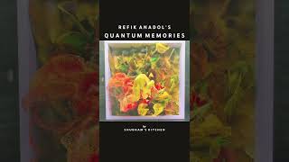QUANTUM MEMORIES | REFIK ANADOL | #ngv #melbourne #shubhamskitchen