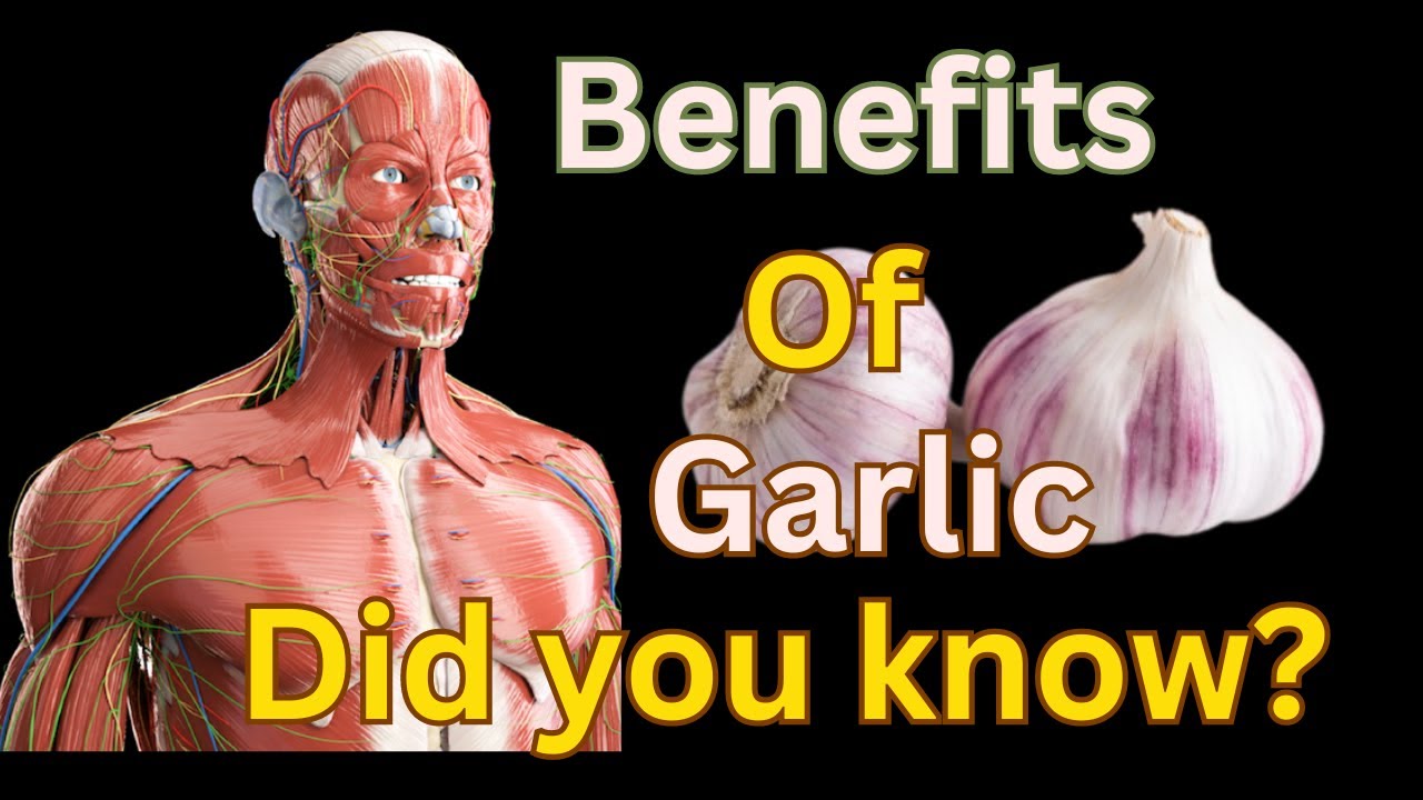 Garlic benefits for health! 5 tips for you about garlic. YouTube