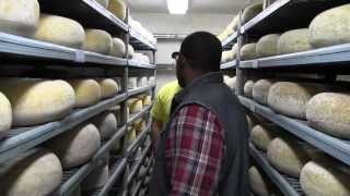 Jersey Chef Features Cherry Grove Cheese Farm