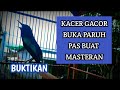 Kacer Gacor Super Ngotot Manggil Lawan Dijamin Kacer Malas Ikutan Nyaut Dan Cepat Respon Mp3 - Mp4 Download