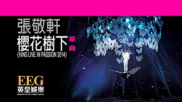 張敬軒 Hins Cheung 櫻花樹下 HINS LIVE IN PASSION 2014 Lyrics MV 