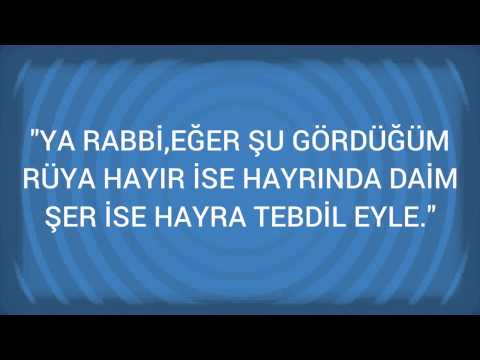 Rüyada Hayvanlar Görmek Ne Anlama Gelir, Ne Demektir?