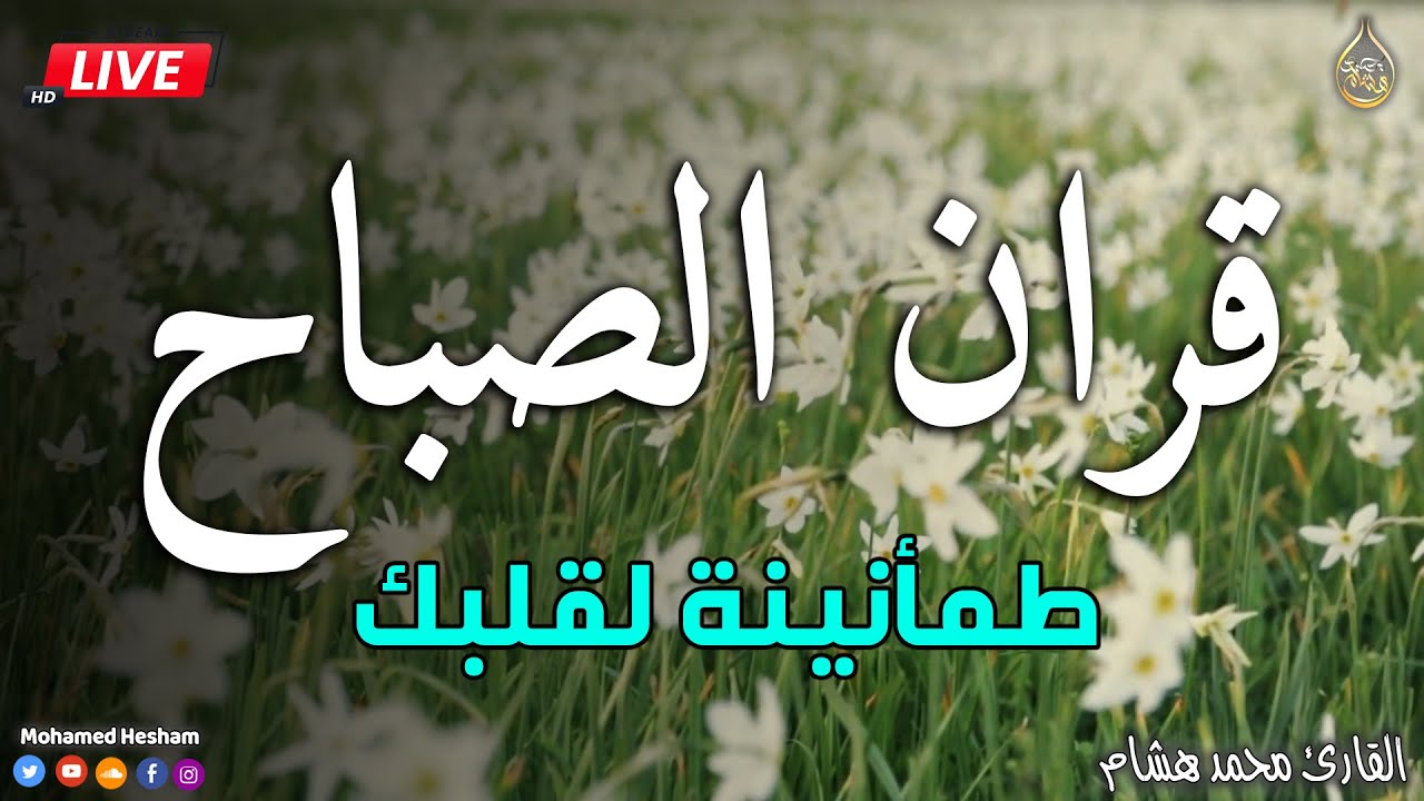 قرآن الصباح ☀️ قرآن كريم بصوت جميل جدا جدا يريح القلب ❤️ القارئ محمد هشام