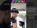 Will My Dog Eat it? #dachshund #fypシ #fyp #fypシ゚viral #dogshorts