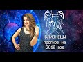 Близнецы  Прогноз на 2019 год