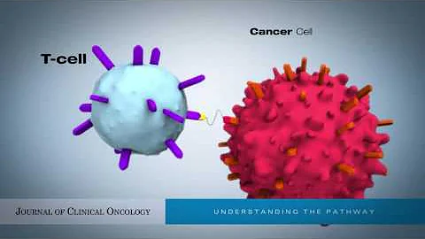 Bispecific T-Cell Engagers (BiTEs) as Treatment of B-Cell Lymphoma