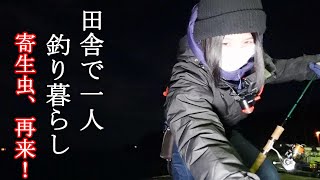 仕事終わりになかなか釣れない美味しい魚が待っていた！寄生虫再来！