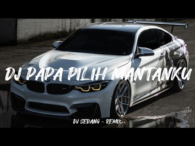DJ Papa Pilih Mantanku Old Mengkane Viral TikTok!! ( DJ SEDANG Remix ) class=