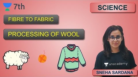 Chapter 3 - Fibre to Fabric | Processing of Wool | Unacademy Class 7 | Sneha Sardana.