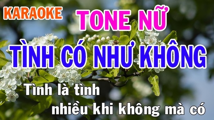 Tình Có Như Không Karaoke Tone Nữ Nhạc Sống - Phối Mới Dễ Hát - Nhật Nguyễn