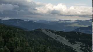 Spruce With Cones In Mountain Top On Background Of A Rapidly Running Clouds. Smooth Movement