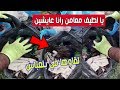 عَمَر راسك يا مواطِن,,لا حول ولا قوة الا بالله شوفو معامن رانا عايشين,,ربي وكيلكم !