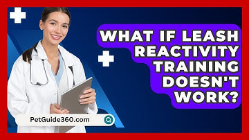 What If Leash Reactivity Training Doesn