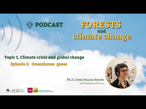 Miniatura del vídeo PODCAST FORESTS and climate change. Greenhouse  gases