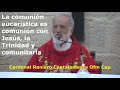 Comunión eucarística, comunión con Jesús, la Trinidad y comunitaria / Por Cardena Cantalamessa