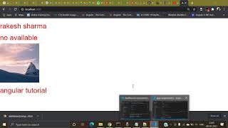 angular tutorial 2(Databinding in Angular)