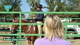 BLM Arizona hosts successful Wild Horse and Burro event on August 11-13 (Audio Described)