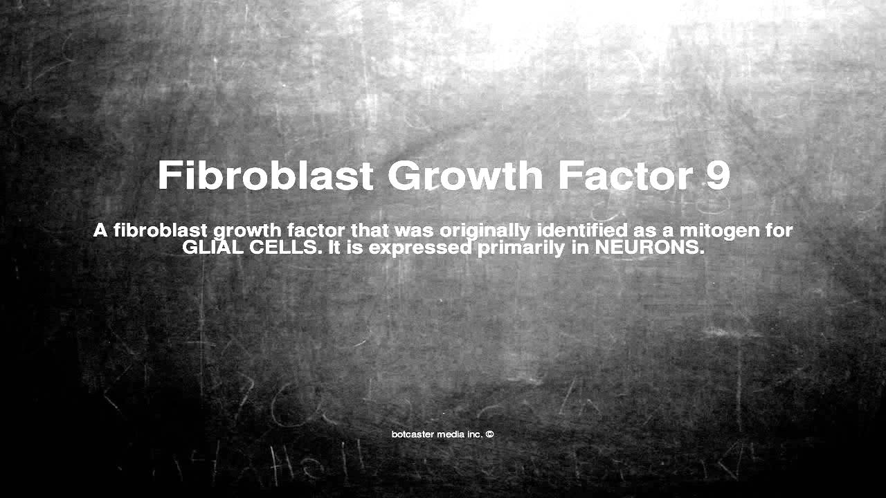 Medical Vocabulary What Does Fibroblast Growth Factor 9 Mean YouTube medical-vocabulary-what-does-fibroblast-growth-factor-9-mean-youtube