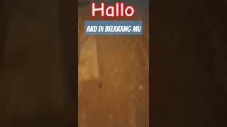 Hallo Aku Di Belakang Mu