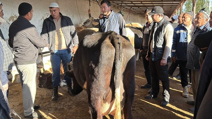 Erotika musiqiy filmini tomosha qiling